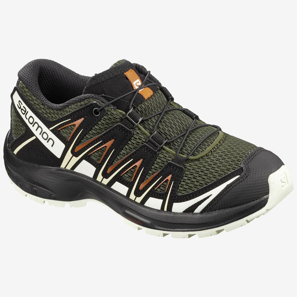 Zapatillas Trekking Salomon Niños Multicolor - Salomon Argentina XA PRO 3D JUNIOR,590148-OCF